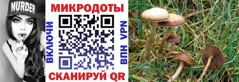 как найти закладки  Вологда  Псилоцибиновые грибы ЛСД 