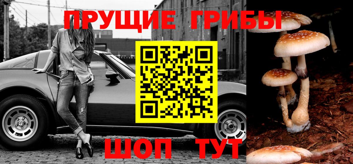 Галлюциногенные грибы мицелий Вологда