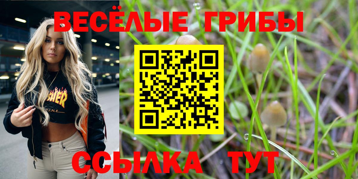 Псилоцибиновые грибы Magic Shrooms  Вход с VPN  Псилоцибиновые грибы Magic Shrooms  Вологда 